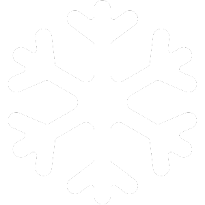 A snowflake icon, representing personalization and uniqueness in the Reach mental health platform